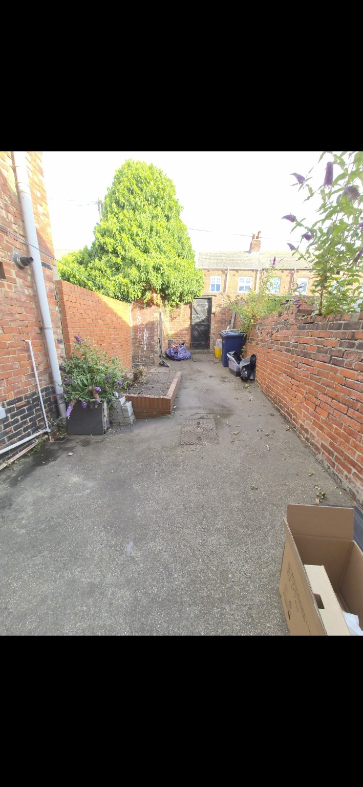 After: Driveway clearance