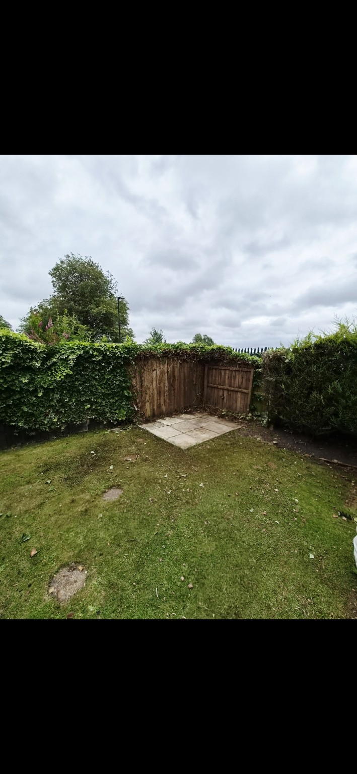 After: Shed removal